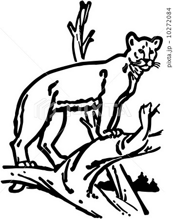 Mountain Lion 10272084