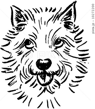 Little White Dog 10272200