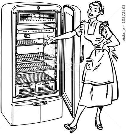 Lady With New Fridge 10272233