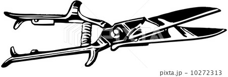 Shears 2 10272313