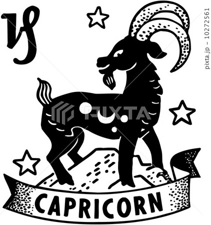 Capricorn 10272561