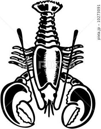 Lobster Graphic 10273091