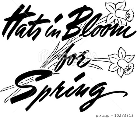 Hats In Bloom For Spring 10273313