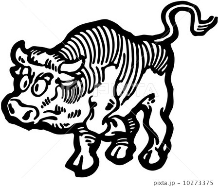 Angry Bull 10273375