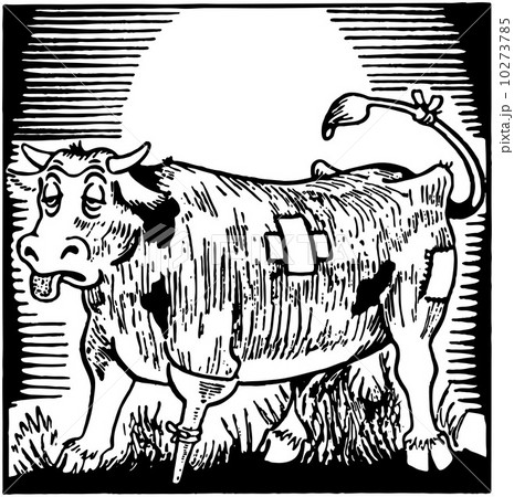 Bum Steer 10273785