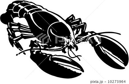 Lobsterのイラスト素材 10273964 Pixta