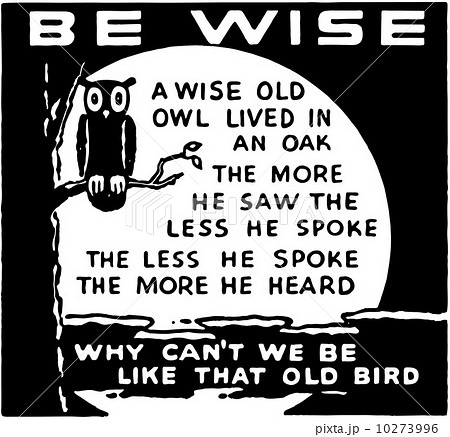 Be Wise 10273996