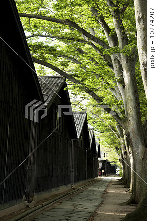 山居倉庫 10274207