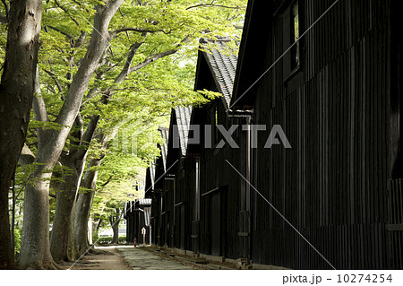 山居倉庫 10274254