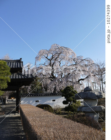 広琳寺 広琳寺 10274399