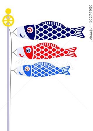 鯉のぼり 白バック 鯉のぼり 白バック 10274930
