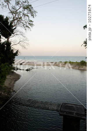 アンダマン諸島・ハヴロック島の海岸 アンダマン諸島・ハヴロック島の海岸 10275874