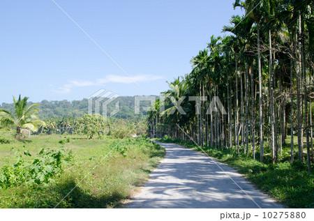 アンダマン諸島・ハヴロック島 アンダマン諸島・ハヴロック島 10275880