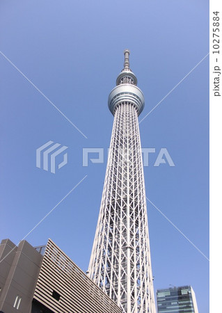 東京スカイツリー 東京スカイツリー 10275884
