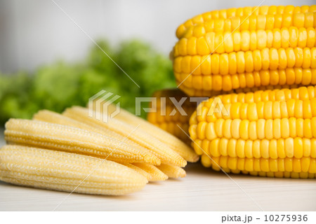 Sweet corn 10275936