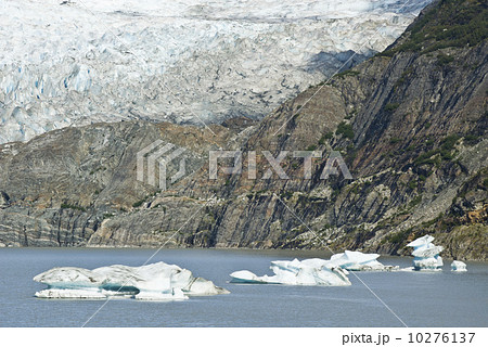 USA Alaska - Mendenhall Glacier  10276137