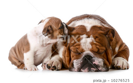 telling secrets 10276525