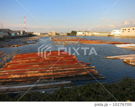 貯木場（愛知県飛島） 10276700