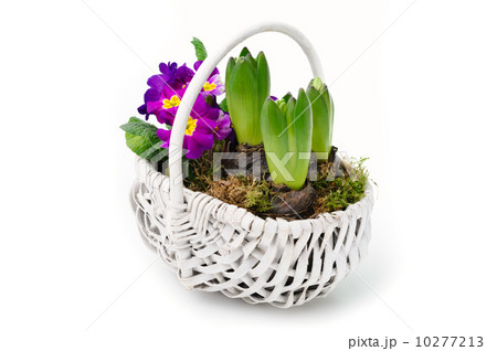 Spring bouquet Spring bouquet 10277213
