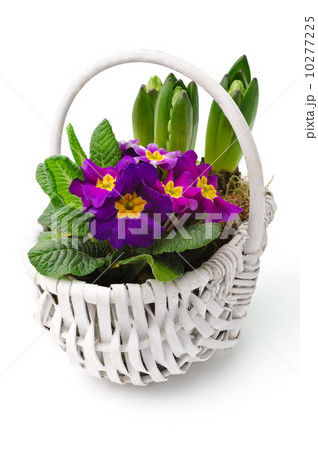 Spring bouquet 10277225