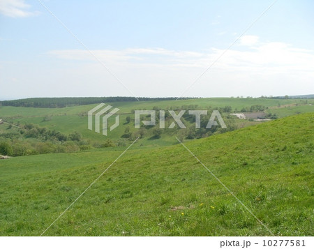 ナイタイ高原 10277581