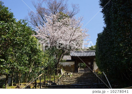 百毫寺の山門 10278041