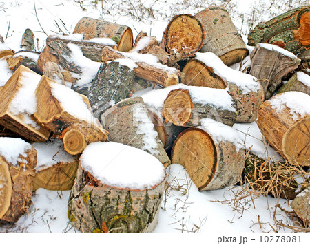 Pile of fire wood. Pile of fire wood. 10278081