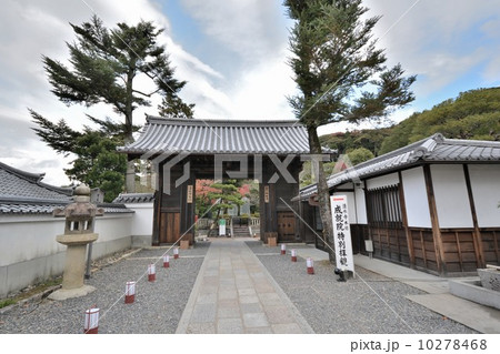 清水寺 清水寺 10278468