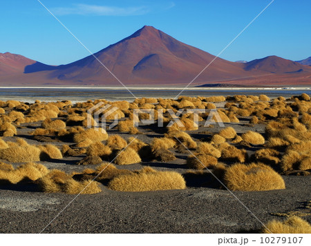 Landscape at Laguna Colorada 10279107