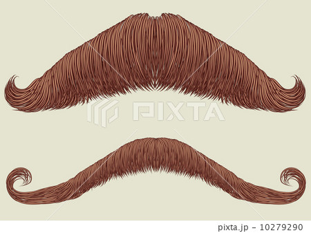 Mustaches for man.Vector collection for man portrait 10279290