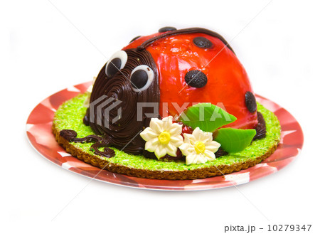 Ladybug cake 10279347