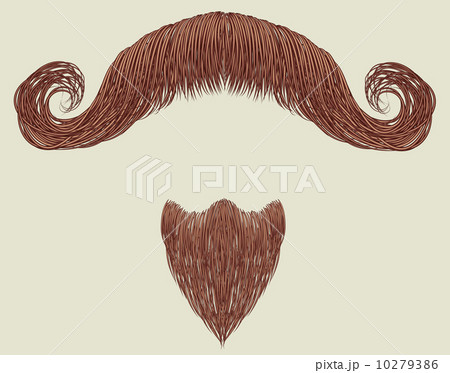 Mustache and beard 10279386