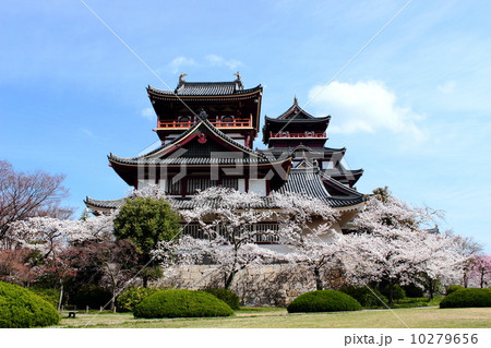 京都　伏見桃山城 10279656