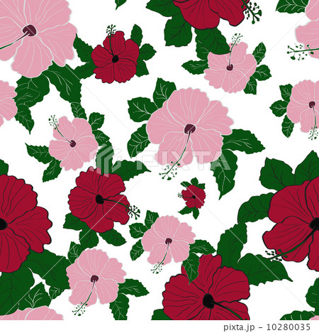 Vector flower pink hibiscus seamless pattern 10280035