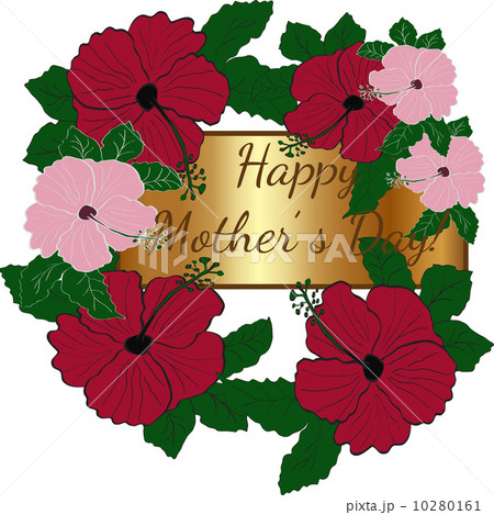 Vector mothers day greeting card with hibiscus 10280161