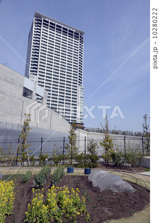 クロスエアータワーと目黒天空庭園の菜園 10280222