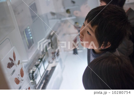 展示 展示 10280754
