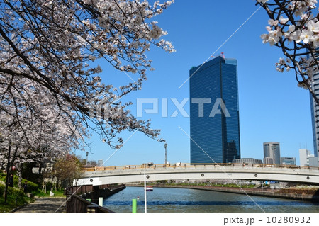 都市風景　春爛漫 10280932