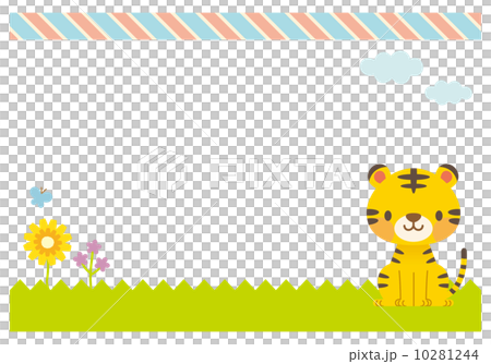 Message card animal background 10281244
