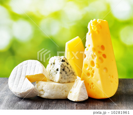 Different types of cheese on nature background 10281961