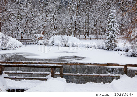 Snowy Alpine forest and frozen river Snowy Alpine forest and frozen river 10283647