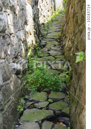 石畳の排水溝 10283714