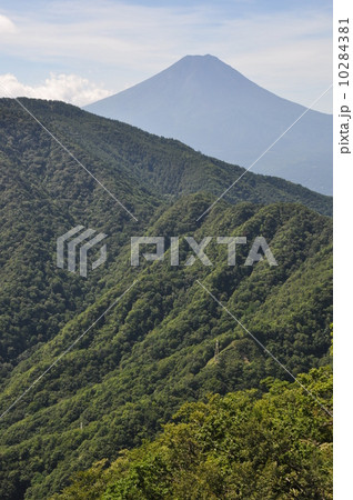 本社ヶ丸より富士山 本社ヶ丸より富士山 10284381