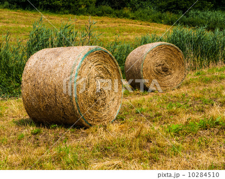 Straw packages 10284510