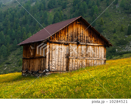 Alpine hut Alpine hut 10284521