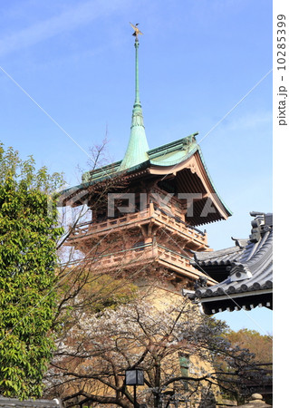 京都 大雲院 祇園閣 京都 大雲院 祇園閣 10285399