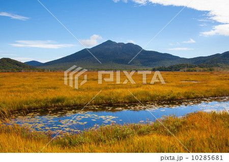 尾瀬国立公園 10285681