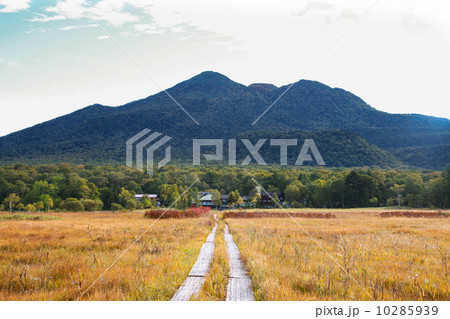 尾瀬国立公園 尾瀬国立公園 10285939