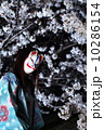 桜と女性 10286154