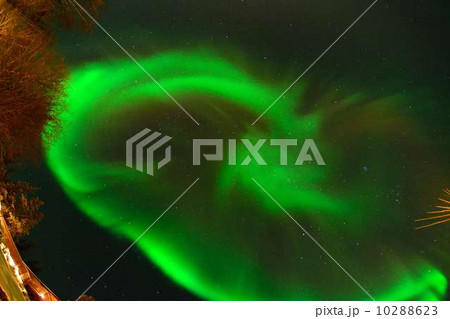 イエローナイフ オーロラ_16 イエローナイフ オーロラ_16 10288623